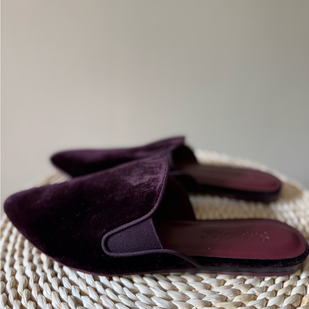 Liza Slide
From SPLENDID FOOTWEAR size 8,5